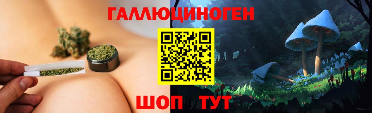 Галлюциногенные грибы Cubensis Ессентуки