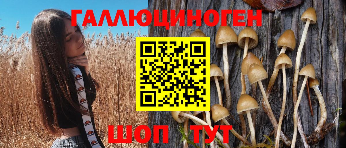 Ессентуки  Псилоцибиновые грибы Cubensis  Вход с VPN 