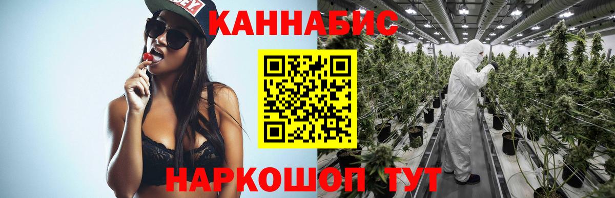 Бошки марихуана White Widow  Вход с VPN  Бошки Шишки конопля  Ессентуки  Марихуана White Widow  Каннабис планчик 